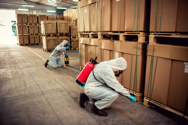 Best Pest Removal Services  in Powells Crossroads, TN