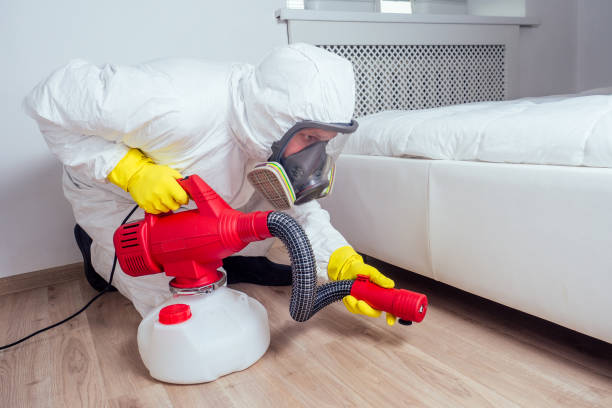 Reliable Powells Crossroads, TN Pest Control Solutions