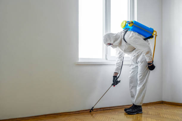 Best Emergency Pest Control  in Powells Crossroads, TN
