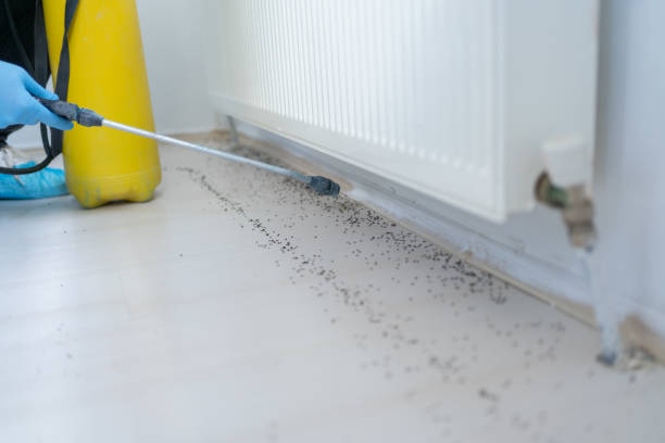 Best Residential Pest Control  in Powells Crossroads, TN