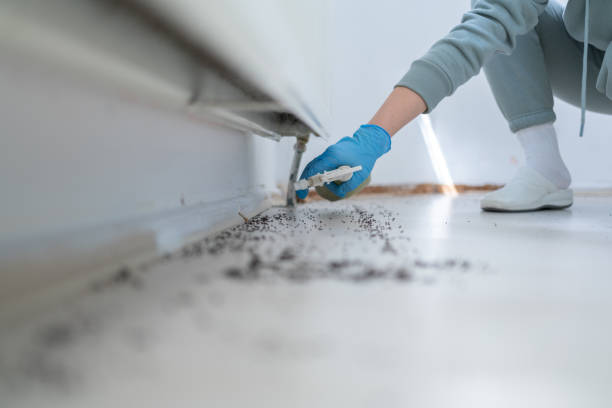 Best Best Pest Control Companies  in Powells Crossroads, TN
